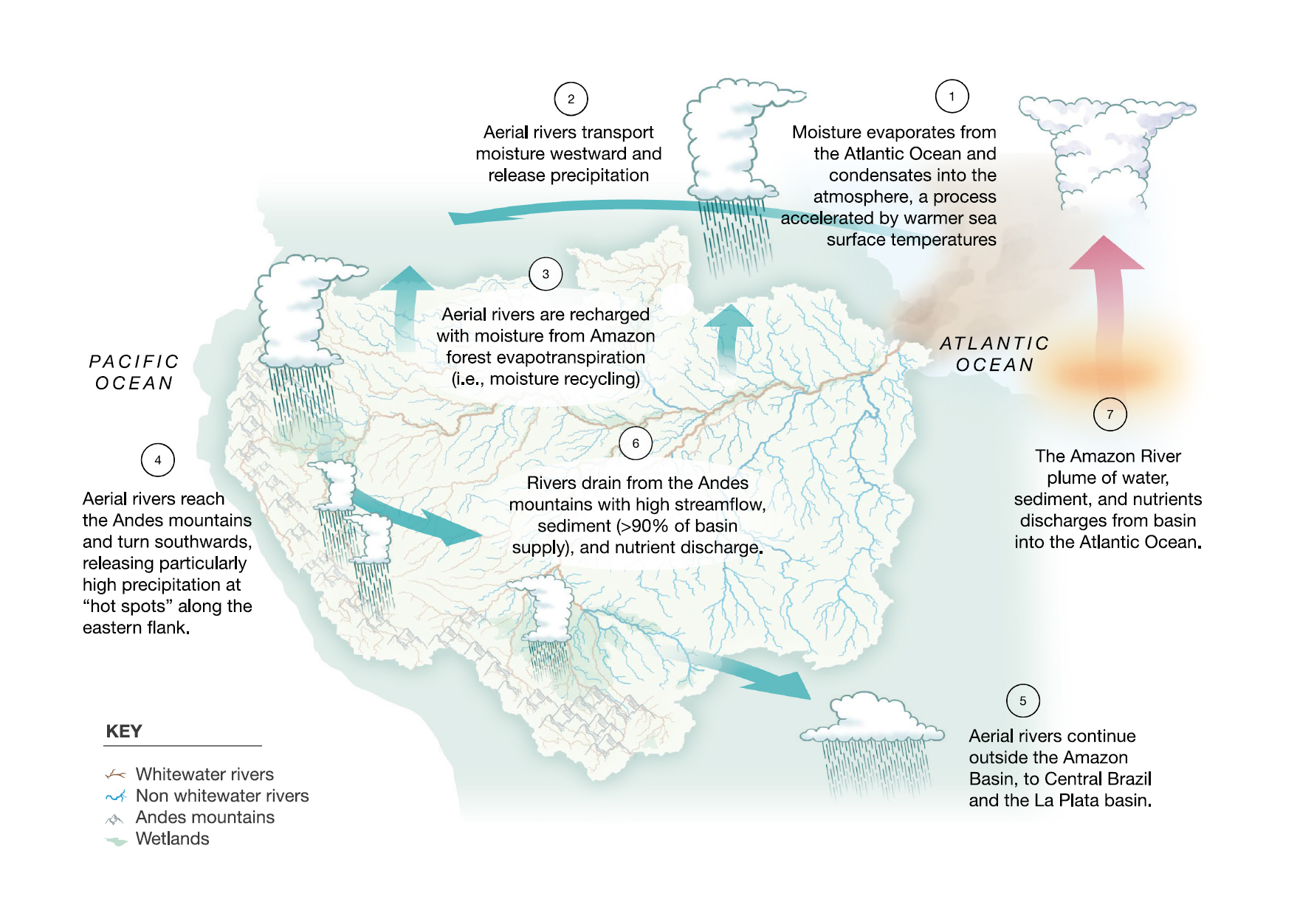 Hydroclimate cycle over the amazon basin