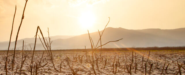 barren sunscorched landscape with mountains in the background