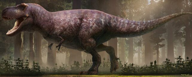 T Rex Reconstruction