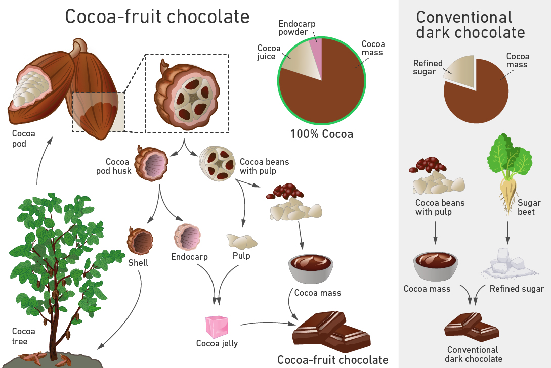 diagram of cacao to chocolate process