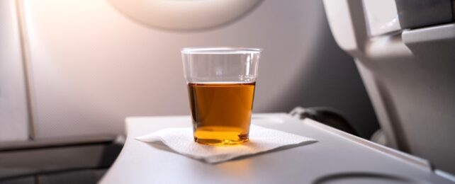 Drink On Plane Tray