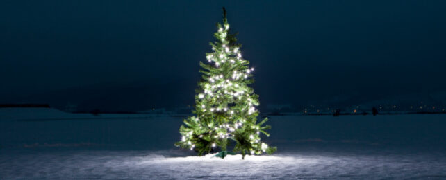 Illuminated Christmas tree at night