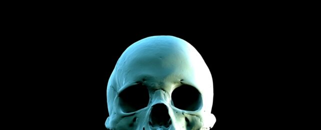 Human Skull On Black Background