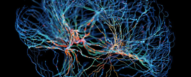 Artist illustration showing connections of a neural network in the shape of a human brain.