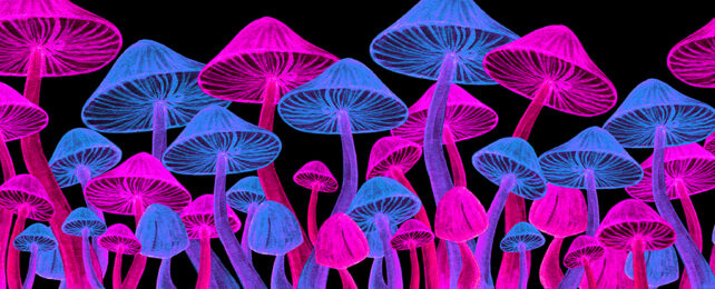 Magic mushrooms