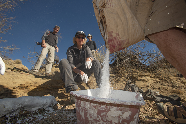 Earth Sciences fieldwork