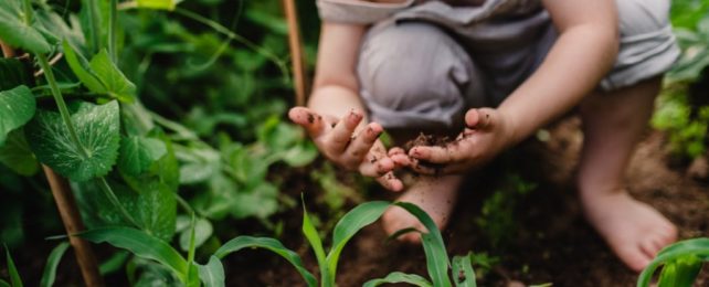 Young Child Plays In Dirt