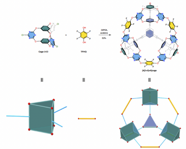 Diagram showing molecular assembly of cage-like structure from simpler building blocks.